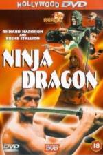 Watch Ninja Dragon Megashare9