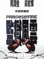 Watch Prison on Fire Megashare9