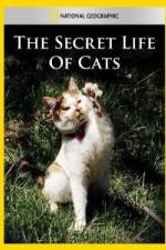 Watch National Geographic The Secret Life of Cats Megashare9