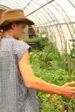 Watch Green House Seeds Strain Hunters India Expedition Megashare9