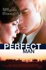 Watch A Perfect Man Megashare9