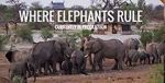 Watch Where Elephants Rule Megashare9