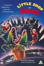 Watch Little Shop of Horrors Megashare9