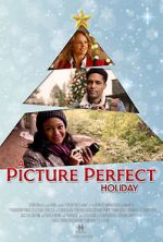 Watch A Picture Perfect Holiday Megashare9