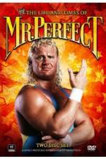 Watch The Life and Times of Mr Perfect Megashare9