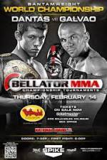 Watch Bellator Fighting Championships 89 Megashare9