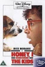 Watch Honey, I Shrunk the Kids Megashare9