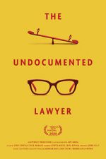 Watch The Undocumented Lawyer Megashare9