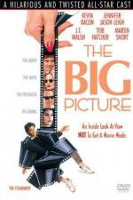 Watch The Big Picture Megashare9