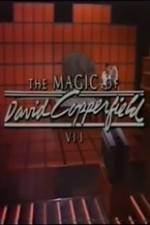 Watch The Magic of David Copperfield VII Familares Megashare9