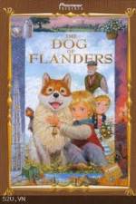 Watch The Dog of Flanders Megashare9