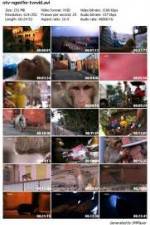 Watch National Geographic Monkey Thieves: Heroes - Villains Megashare9