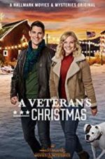 Watch A Veteran\'s Christmas Megashare9