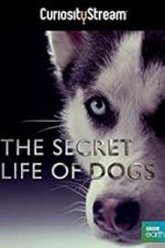 Watch Secret Life of Dogs Megashare9