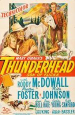 Watch Thunderhead: Son of Flicka Megashare9