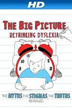 Watch The Big Picture Rethinking Dyslexia Megashare9