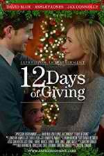 Watch 12 Days of Giving Megashare9