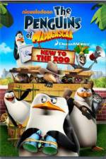 Watch Penguins of Madagascar New to the Zoo Megashare9