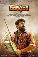 Watch Rangasthalam Megashare9