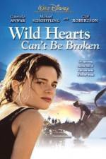 Watch Wild Hearts Can't Be Broken Megashare9