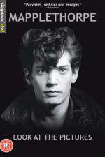 Watch Mapplethorpe: Look at the Pictures Megashare9