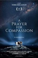 Watch A Prayer for Compassion Megashare9