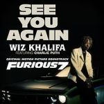 Watch Wiz Khalifa Ft. Charlie Puth: See You Again Megashare9