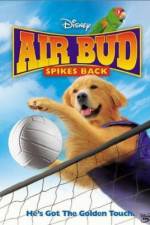 Watch Air Bud Spikes Back Megashare9