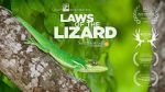 Watch Laws of the Lizard Megashare9