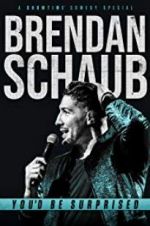 Watch Brendan Schaub: You\'d Be Surprised Megashare9