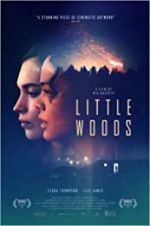 Watch Little Woods Megashare9