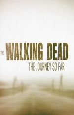Watch The Walking Dead: The Journey So Far Megashare9