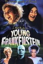 Watch Young Frankenstein Megashare9