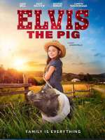 Watch Elvis the Pig Megashare9