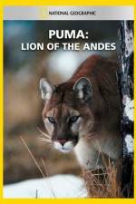 Watch National Geographic Puma: Lion of the Andes Megashare9