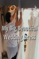 Watch My Big Beautiful Wedding Dress Megashare9