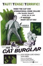 Watch The Cat Burglar Megashare9