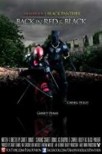 Watch Deadpool and the Black Panther Megashare9