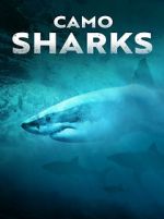 Watch Camo Sharks Megashare9