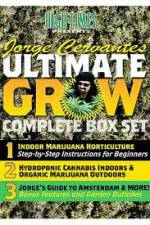 Watch Jorge Cervantes Ultimate Grow Complete Box Set Megashare9