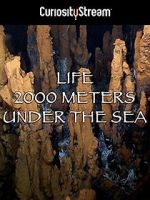 Watch Life 2,000 Meters Under the Sea Megashare9