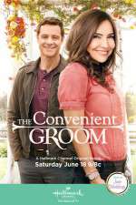 Watch The Convenient Groom Megashare9