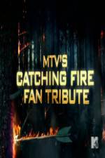 Watch MTV?s The Hunger Games: Catching Fire Fan Tribute Megashare9