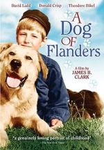 Watch A Dog of Flanders Megashare9