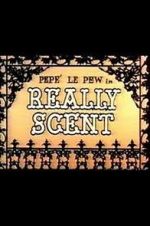 Watch Really Scent (Short 1959) Megashare9
