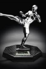Watch World MMA Awards 2010 Megashare9