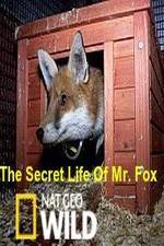 Watch The Secret Life of Mr. Fox Megashare9