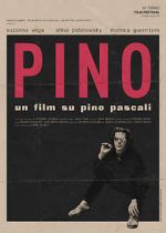 Watch Pino Megashare9