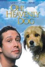 Watch Oh Heavenly Dog Megashare9