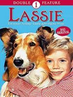 Watch Lassie: A New Beginning Megashare9